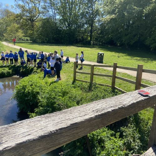 Y3 Cove Brook Local Walk
